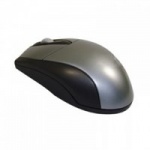 Ewent EW3154 USB+PS/2 Optisch 1000DPI Ambidextrous Zwart, Grijs muis
