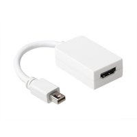 Ewent EW9861 kabeladapter/verloopstukje DisplayPort HDMI Wit