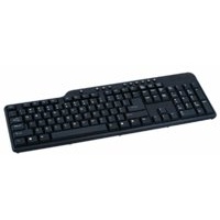 Platinet Omega Multimedia Keyboard Black / USB