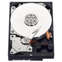 Western Digital Blue 1TB IntelliPower - 64MB - SATA3