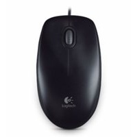 Logitech B100