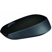 Logitech M171 muis RF Draadloos Optisch 1000 DPI Ambidextrous Zwart